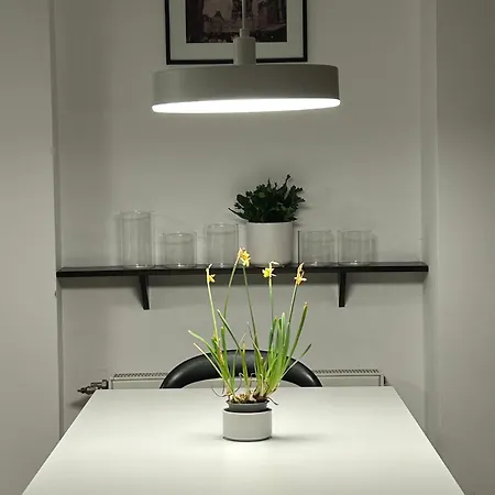 Danube View Apartment